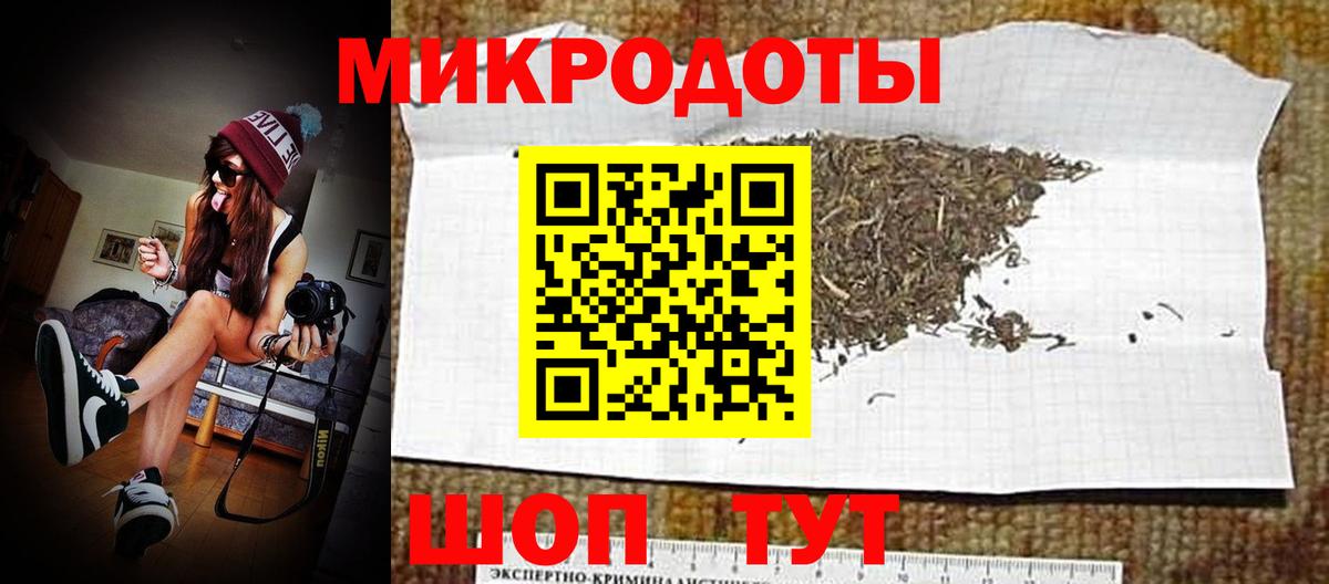 Псилоцибиновые грибы Cubensis  Вход с VPN  Красный Сулин 