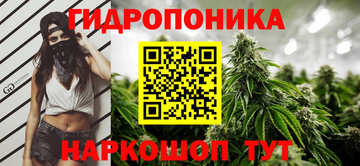 Бошки марихуана Bruce Banner Красный Сулин